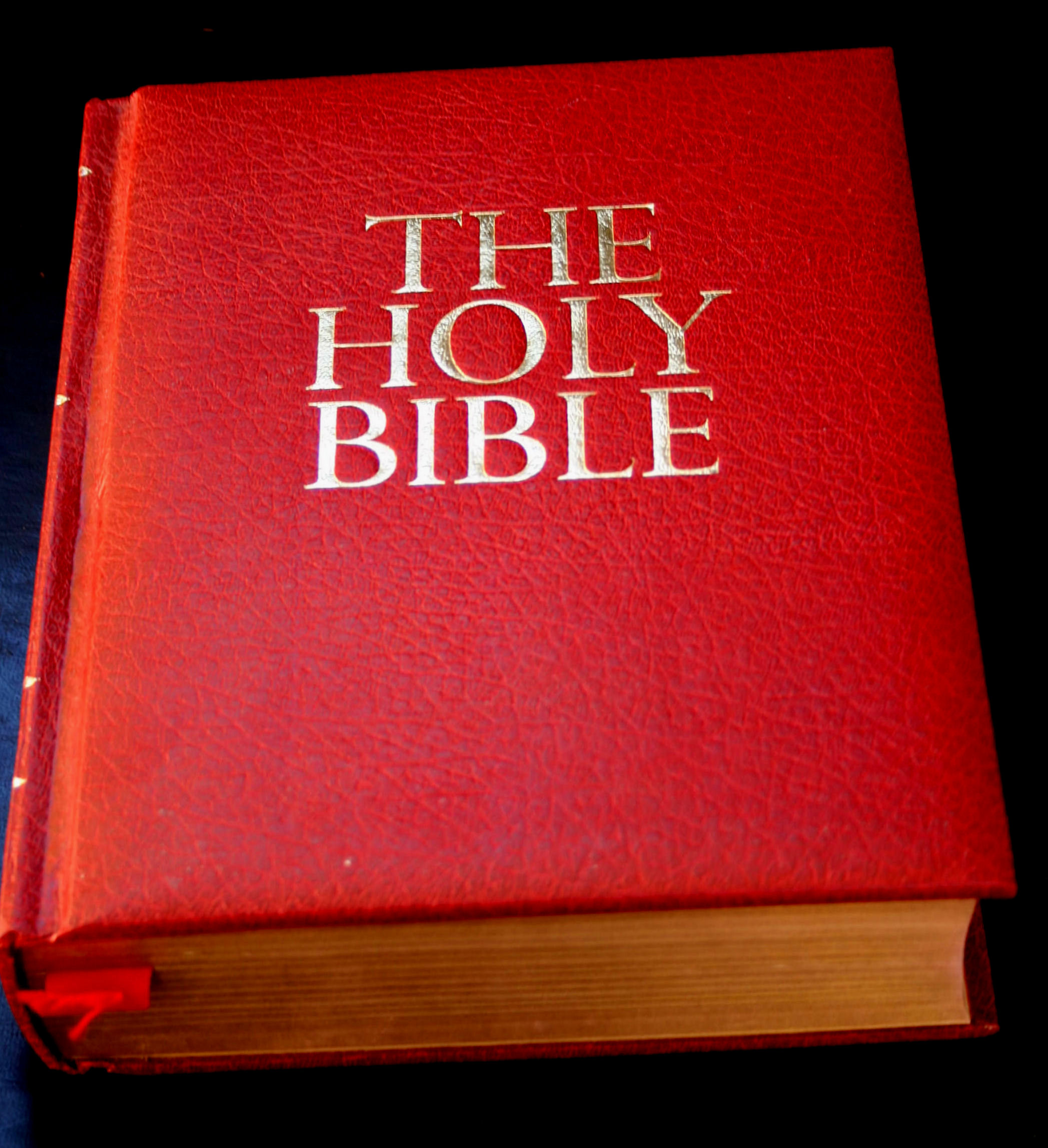 Red covered Bible by Adrian van Leen | the lords book,red ...